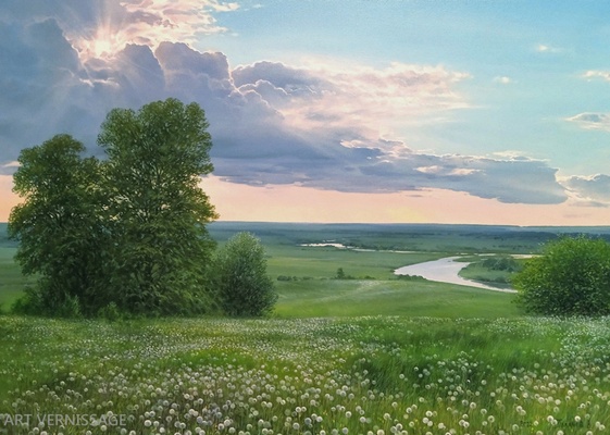 Ромашковое поле - картина В.Н.Палачева
