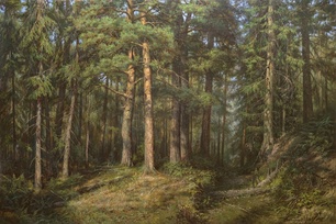 Хвойный лес - картина В.Г.Зайцева