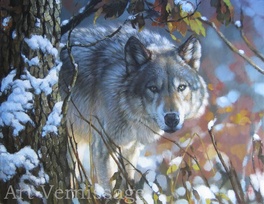 Волк - картина Евгения Медведкина