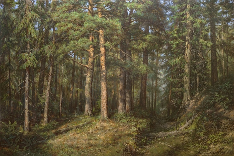 Хвойный лес - картина В.Г.Зайцева