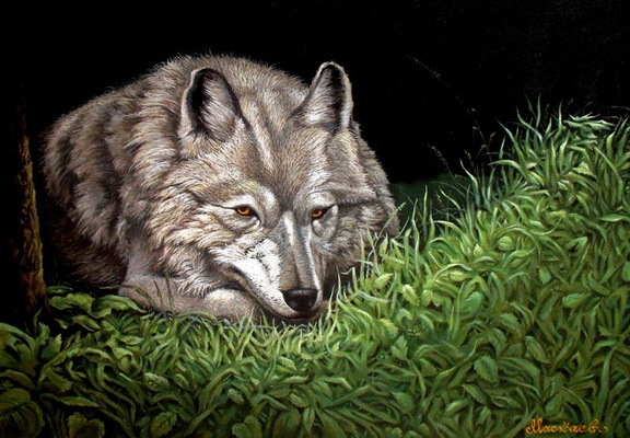 Волк - картина А.В.Маскаева