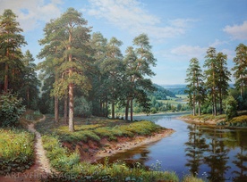 Сосновый лес у реки - картина В.Потапова
