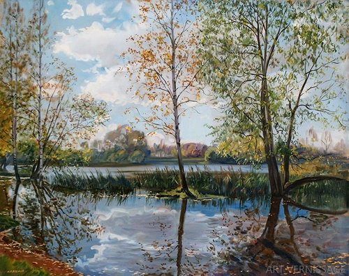 Разлившийся пруд - картина А.Б.Ефремов